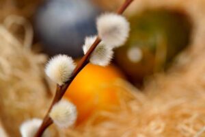 En söt kvist med videkissar framför en suddig bakgrund av träull med ett blått, ett grönt och ett gult påskägg. Bilden bidrar till namnsdags-inläggets visuella design.