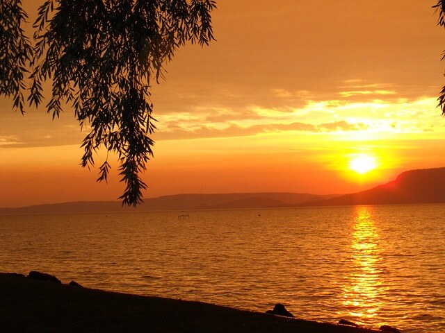 sunset-reflecting-water-branch-silhouette-640×480